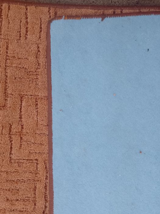 Sprzedam duży brązowy dywan 380x260 cm.