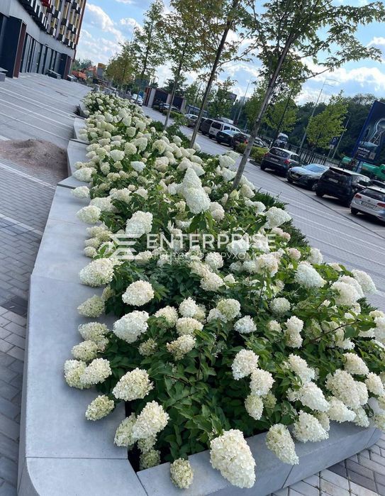 Без %! Продаж 2к. квартири у ЖК Svitlo park Столичне шосе, Голосієво