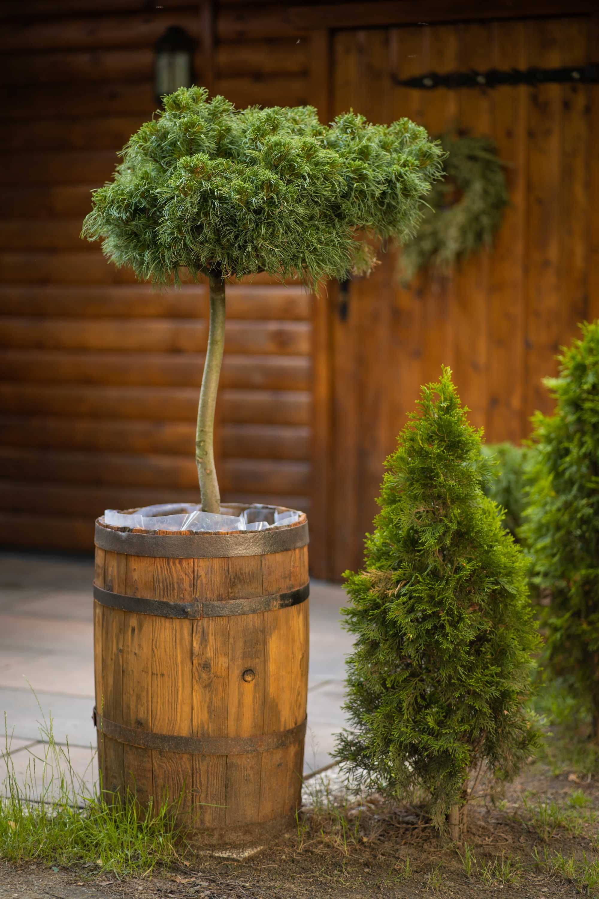 Wynajem domku drewnianego ,całorocznego - Sielska Chata Spa