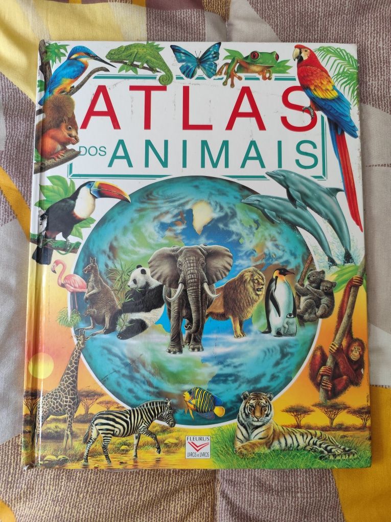 Conjunto 3 Livros