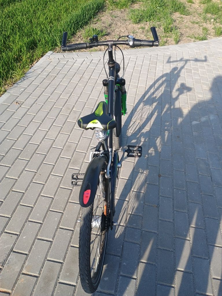 Rower Pegasus Avanti