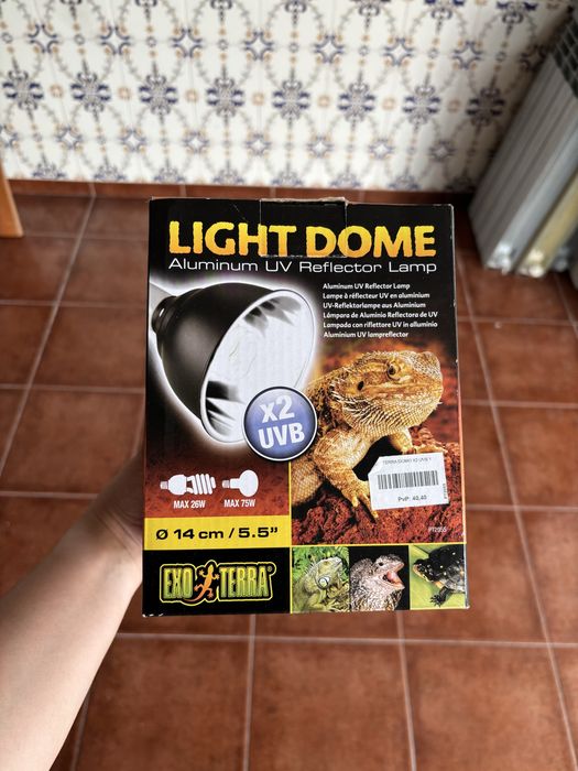 Terrario Exoterra Medium Low