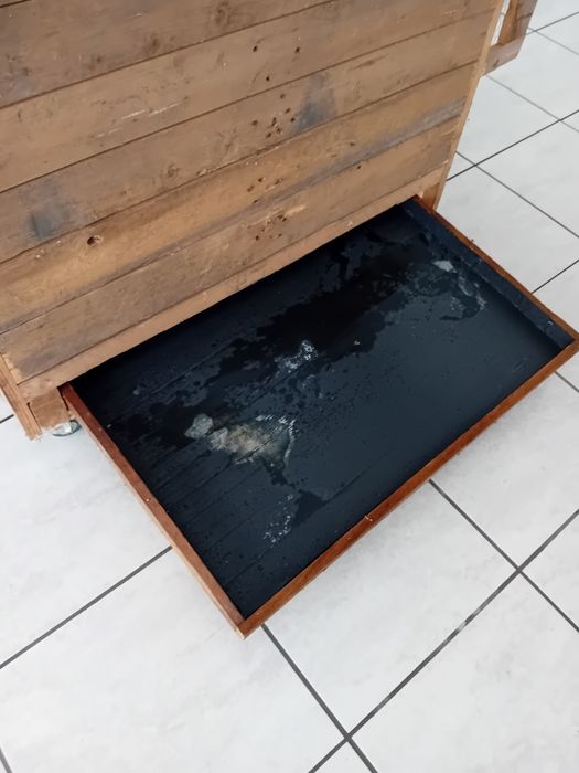 Casa de madeira movel de amster