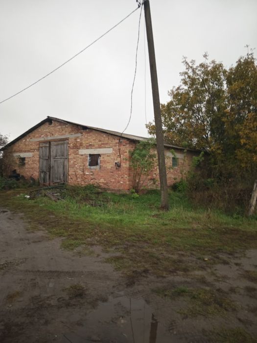 Продам ферми , пилораму , виробниче приміщення