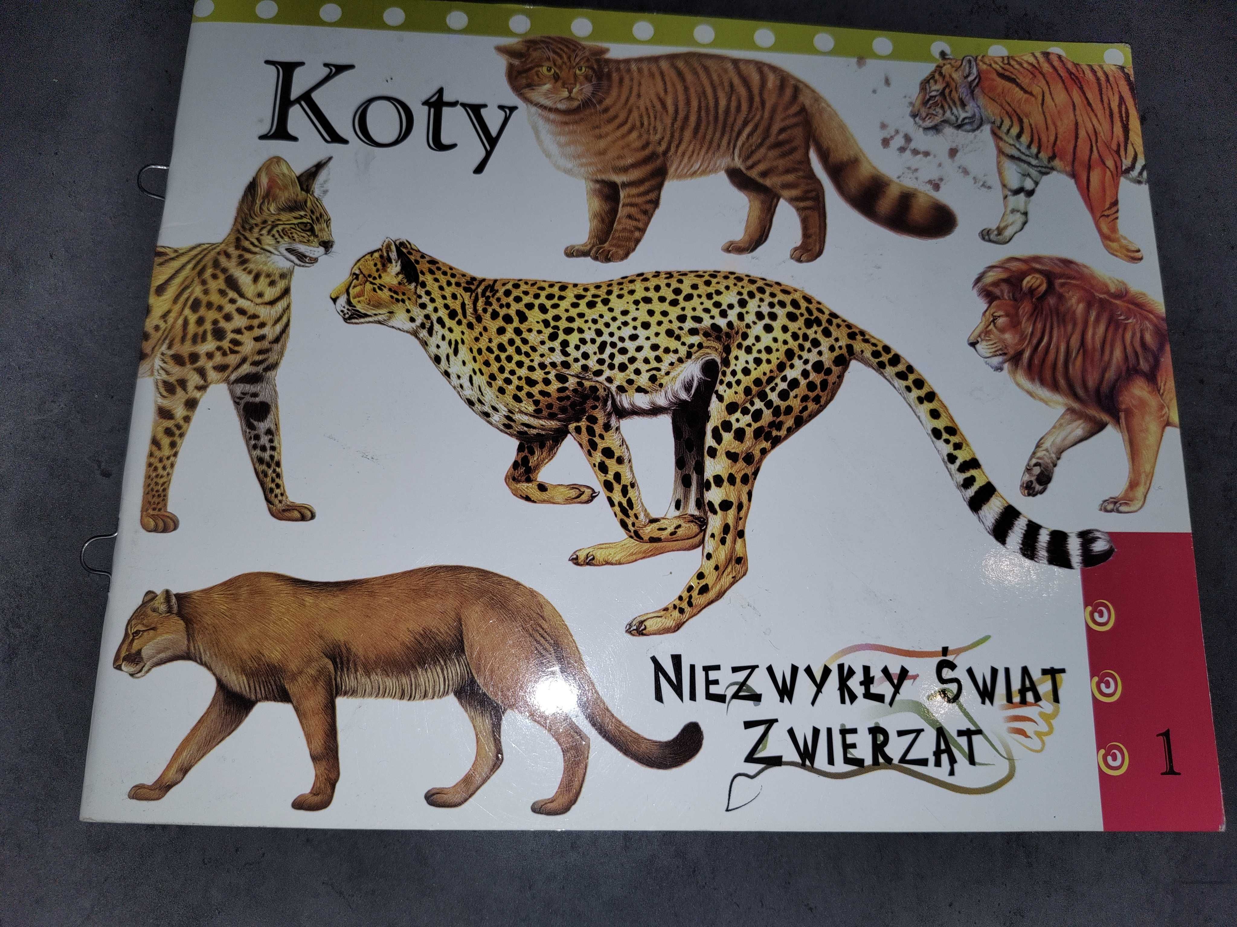 Koty. Niezwykły świat zwierząt 2009