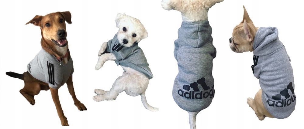 Bluza ADIDOG ubranko dla małego psa miniatury kol SZARY, rozmiar S