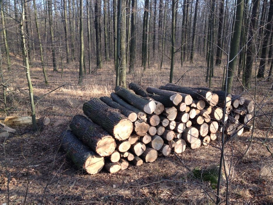 Drewno kominkowe, opałowe suche, Dąb, Jesion, Buk,  Sezonowane.