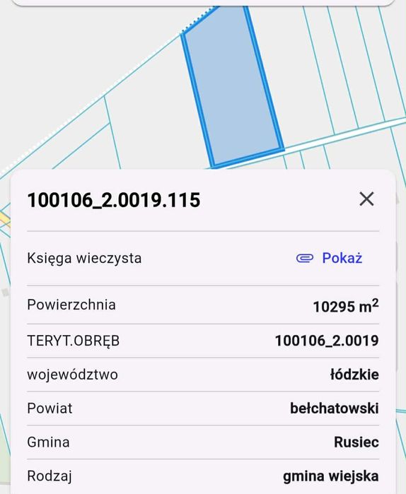 Sprzedam działkę rolną w gm. Rusiec
