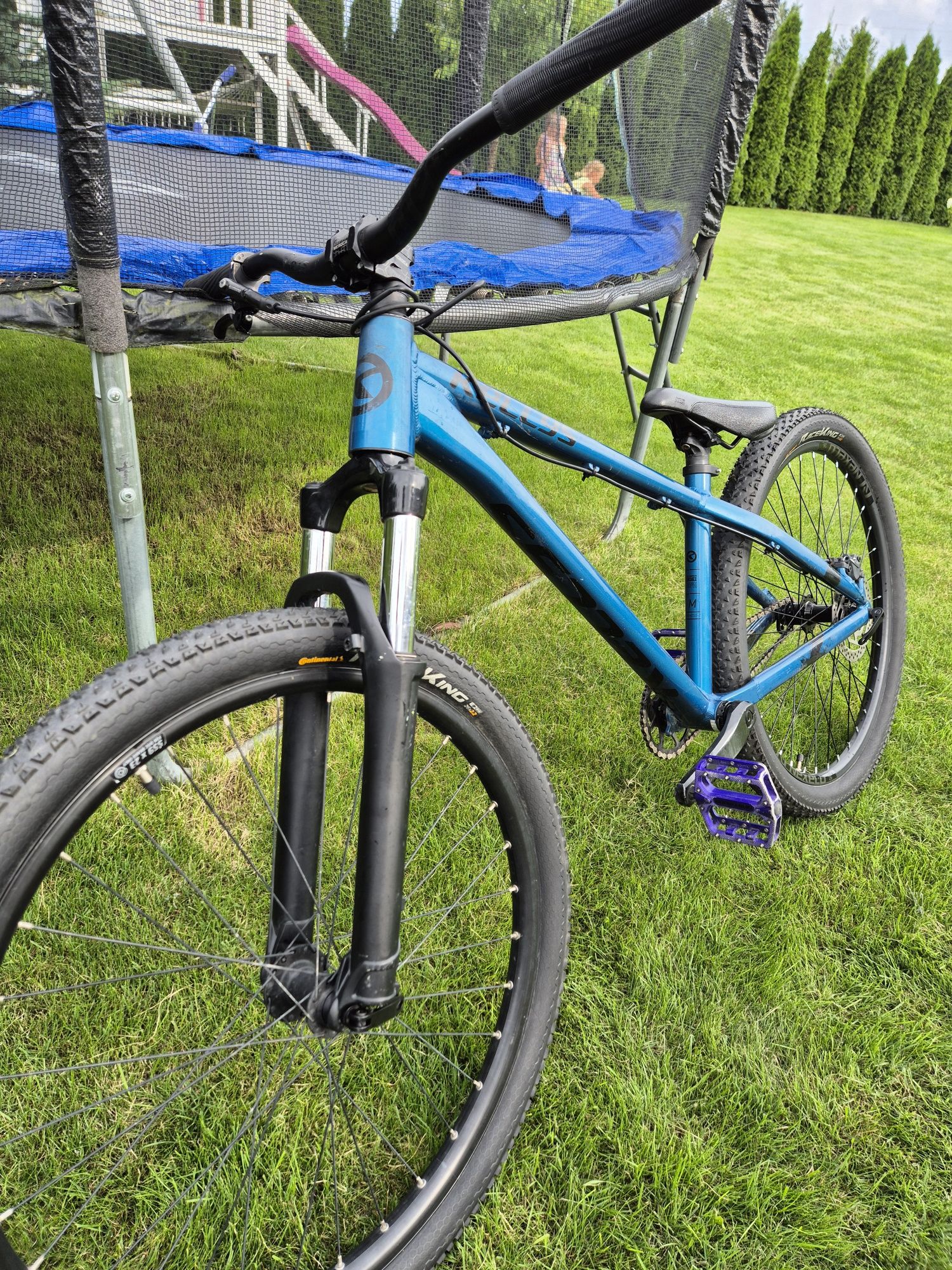 Rower Dirt Kellys whip 50 (custom)