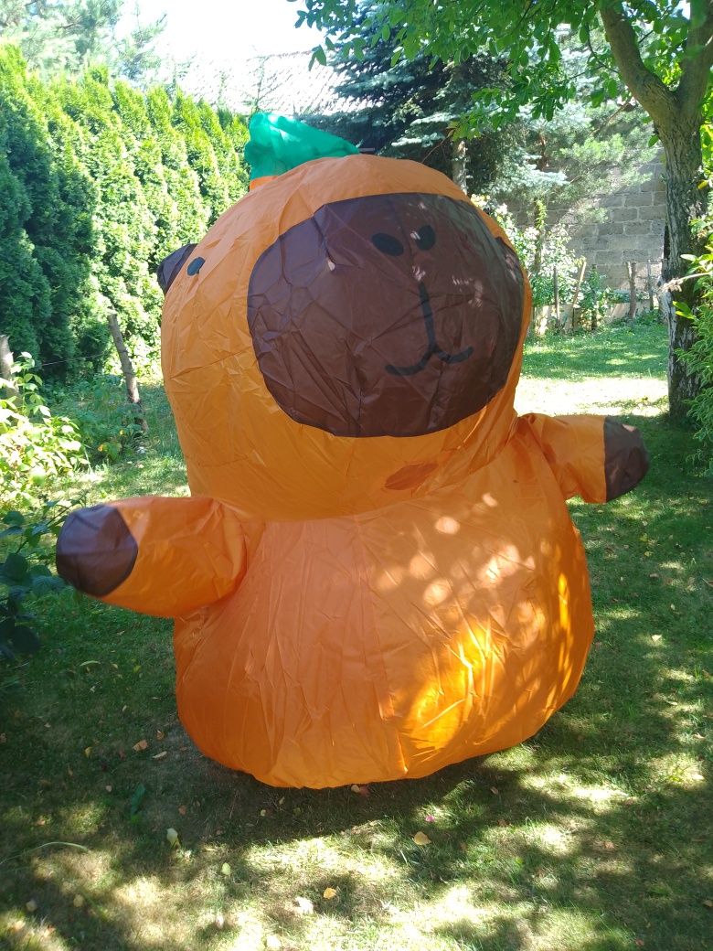 Do wynajęcia kapibara , biały miś , tygrys i wiele innych Animacje