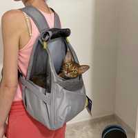 Рюкзак-переноска для котів та маленьких песиків