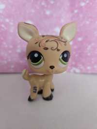 Pet shop littlest LPS sarenka unikat