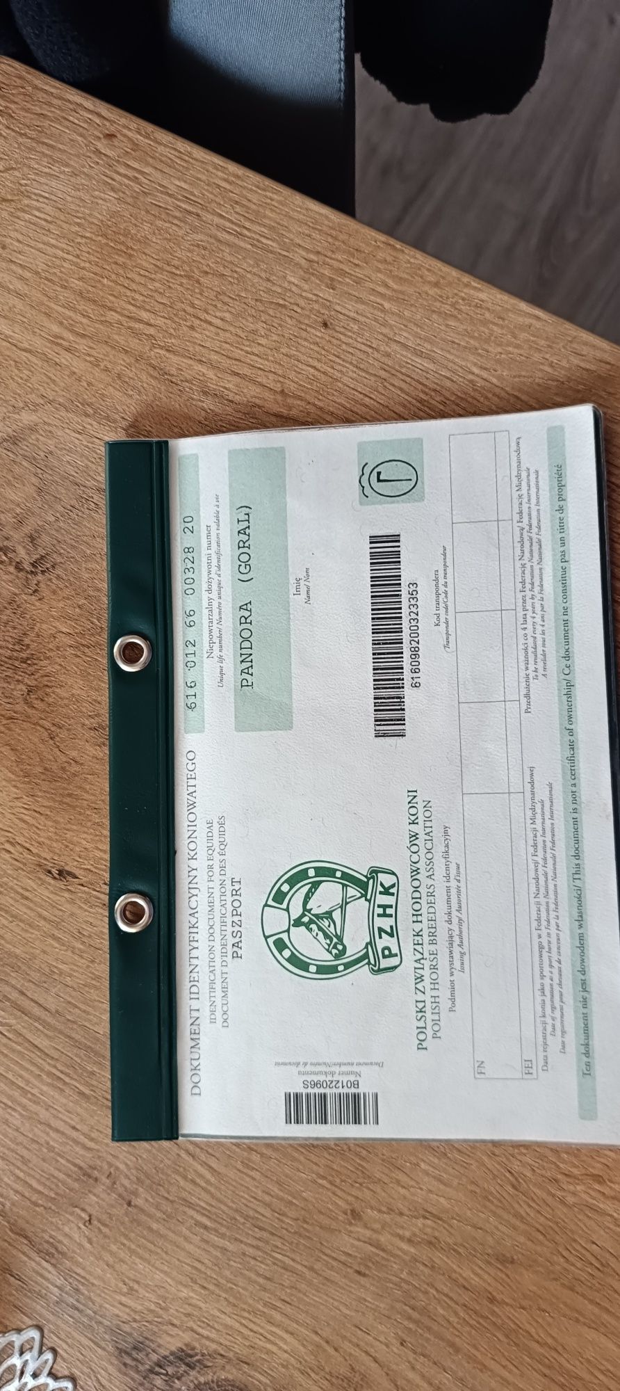 Sprzedam 5letnią klacz huculską