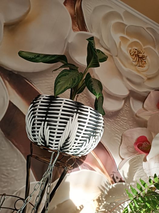 Вазони, кашпо з ротангу, власного плетіння