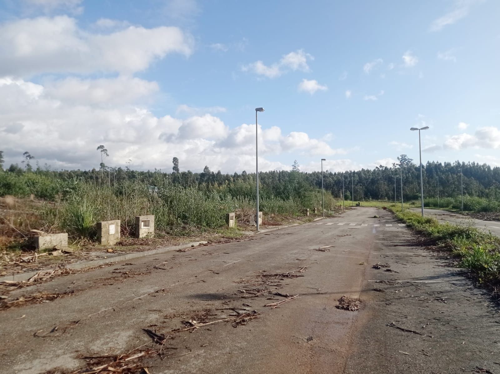 Terreno para construção Valongo do Vouga-Agueda