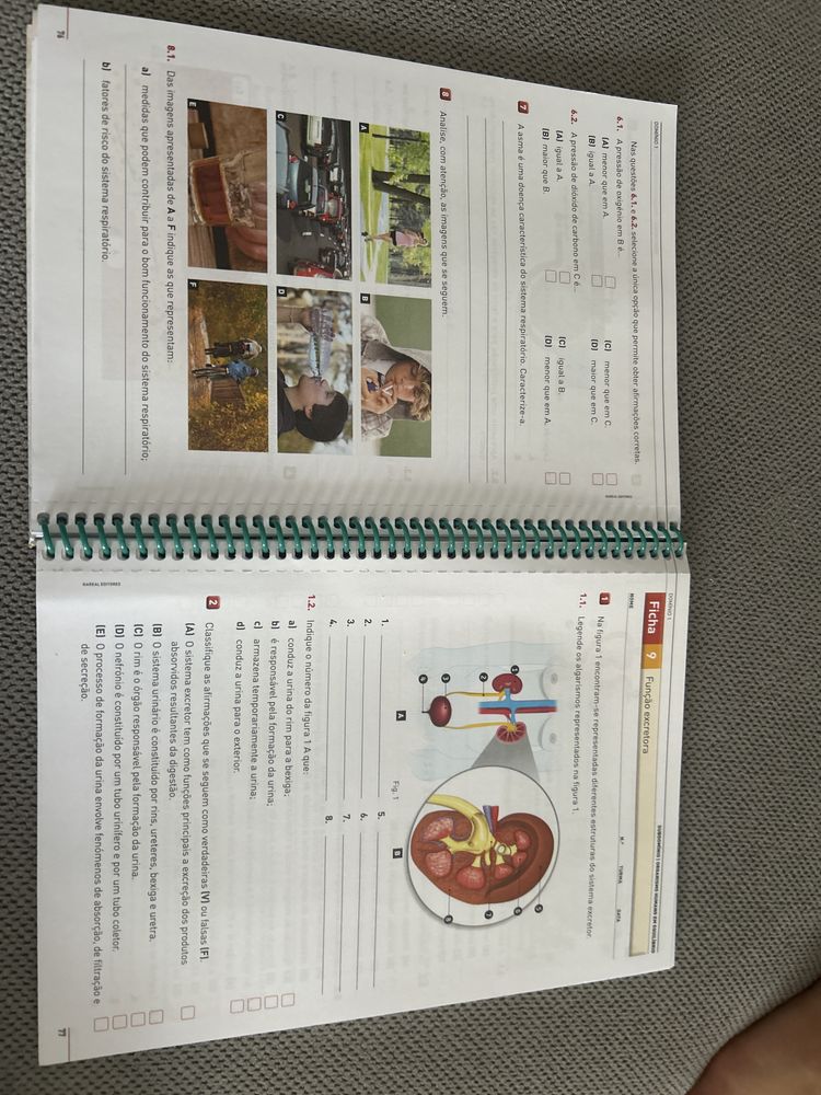 Compreender o Corpo Humano 9 caderno de ativodades