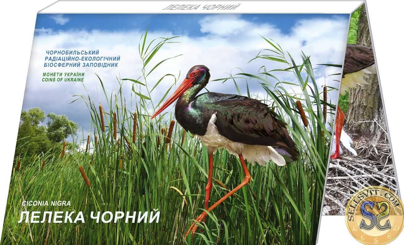 2024 #05 Ukraina Moneta 5 UAH Czarnobyl. Odrodzenie. Bocian czarny O..