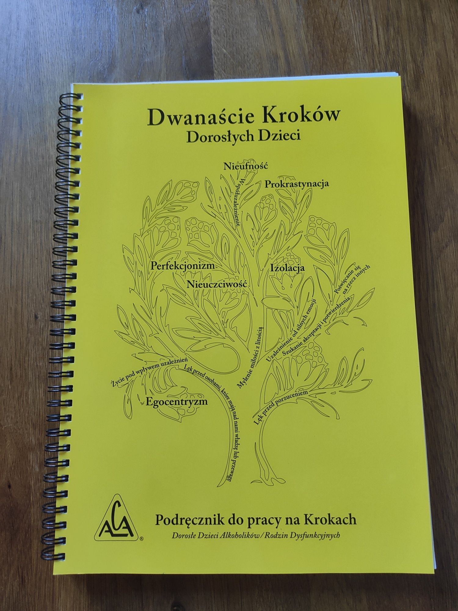 Dwanaście Kroków Dorosłych Dzieci - podręcznik do pracy DDA/DDD