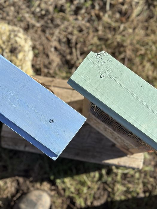 Будинок для комах