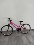 Bicicleta Passeio