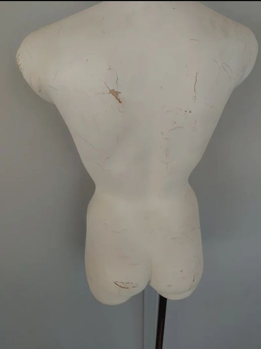 Manequim - torso feminino