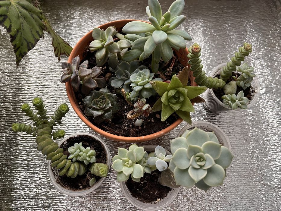 Декор окон, офиса