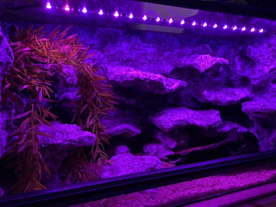 Nowe terrarium 80/40/40