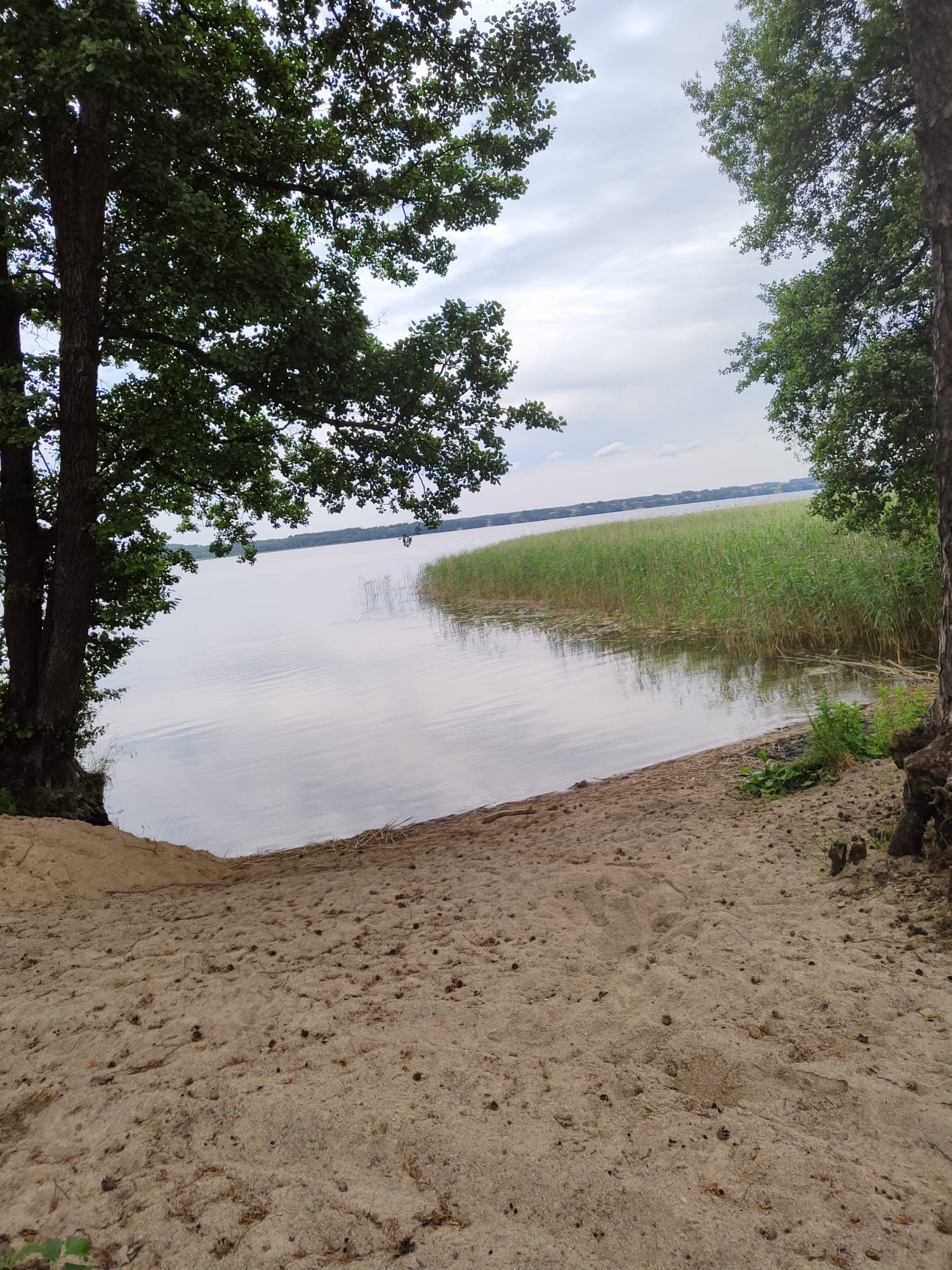 Domek  nad jeziorem  Mazury w Przerwankach przy lesie.