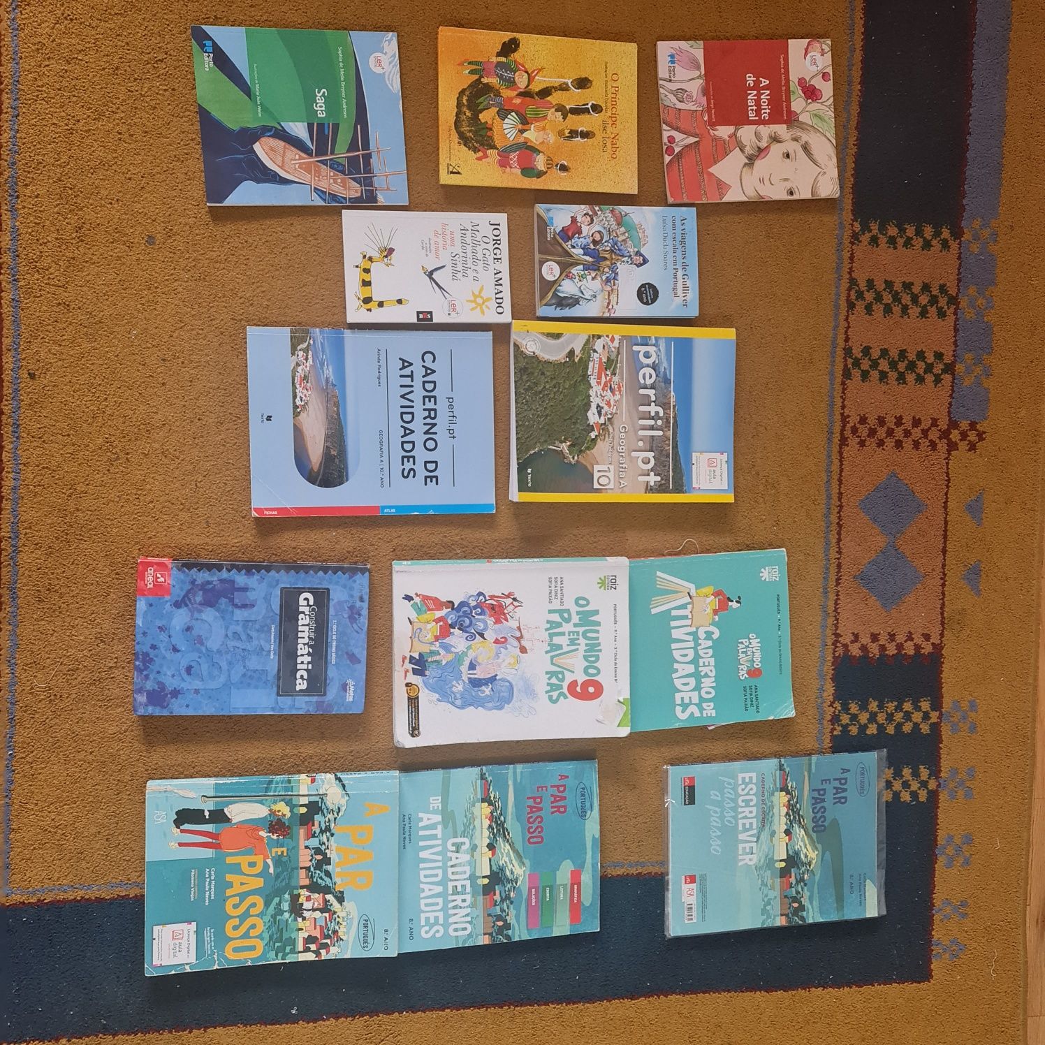 Livros/ manuais escolares