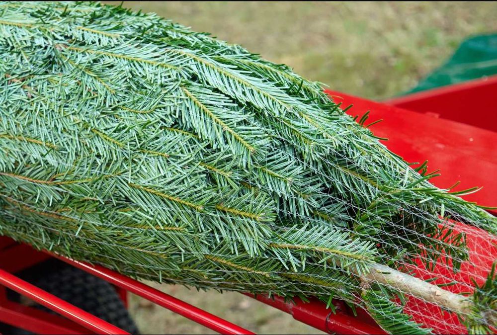 ‼️Сітка для пакування ялинок та сосен Timberten LZ 55