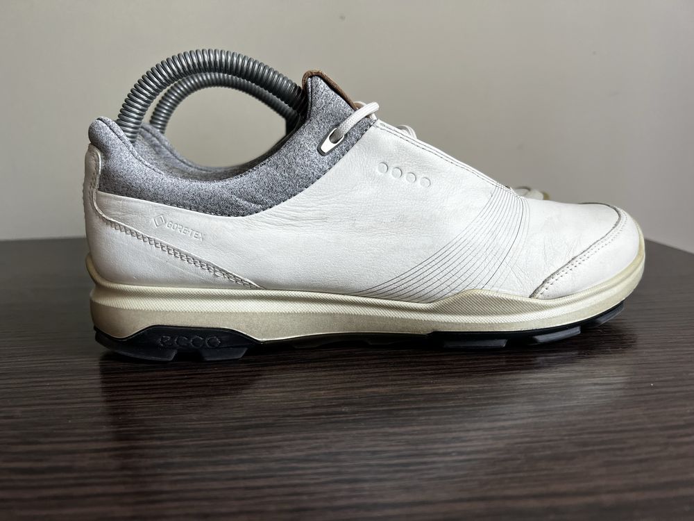 Кросівки ECCO BIOM Hybrid 3 GTX Розмір 39 на 24.5 см
