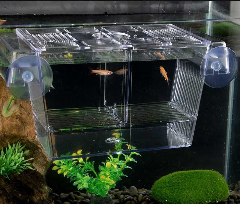 Pływający kotnik do akwarium plastikowy gupik mieczyk malezyjczyk L