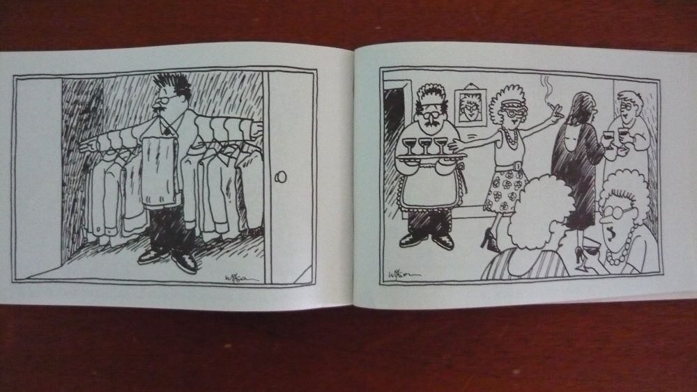 Zabawna książka na wieczór panieński ilustrowana książeczka śmieszna