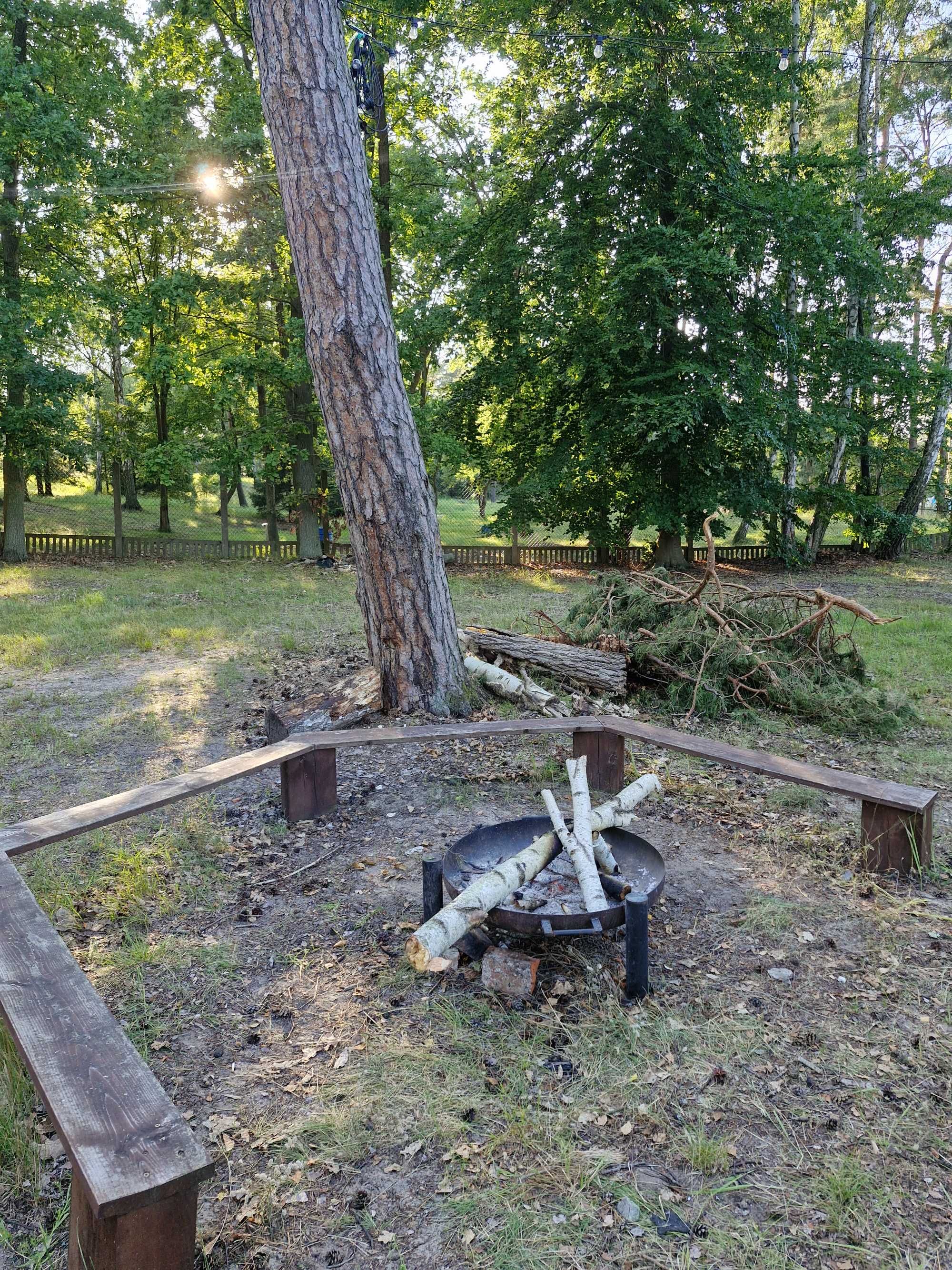 camping, domki  -  Sobieszewo