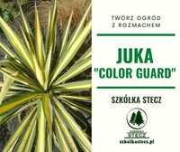 Juka Color Guard - pakiet 4 sztuk