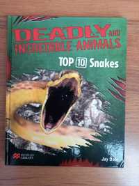 Język angielski - Deadly and incredible animals. Top 10 Snakes
