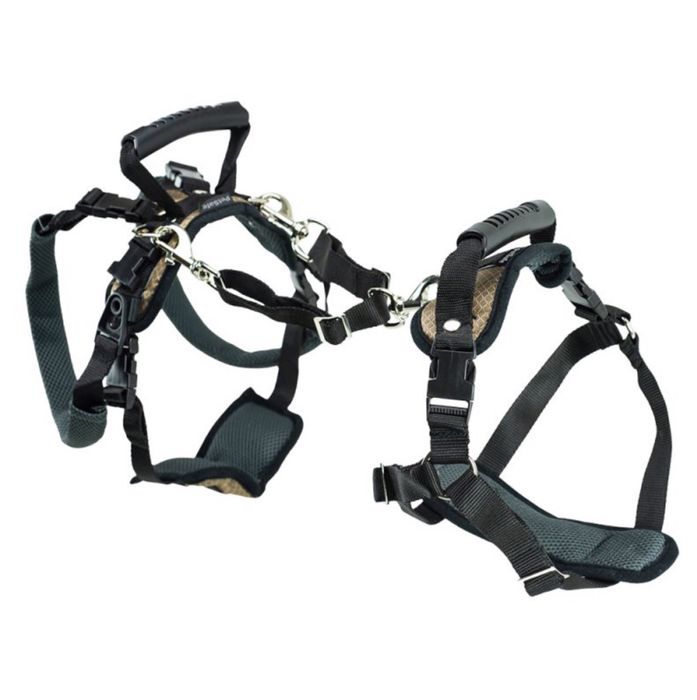 PetSafe peitoral suporte cães