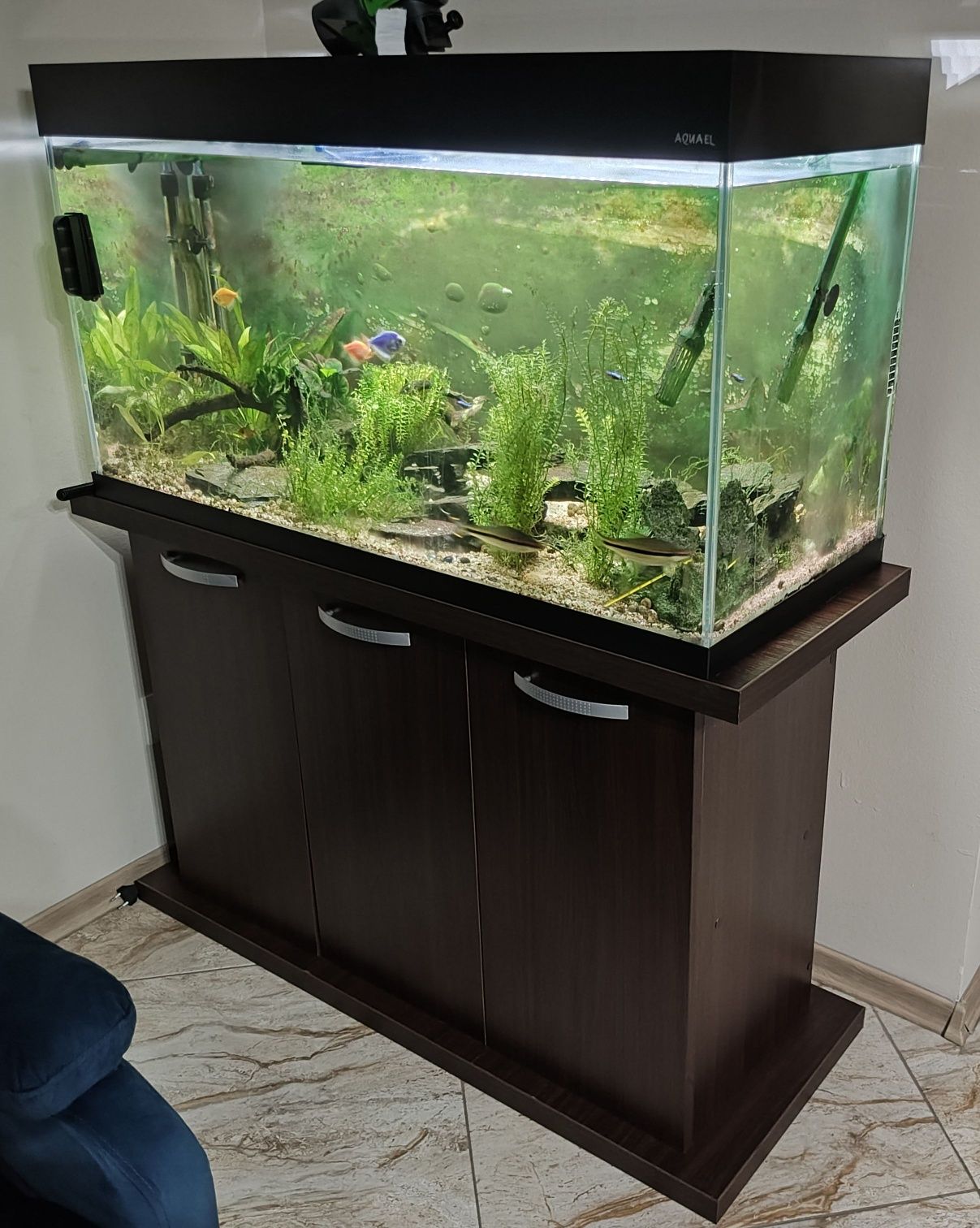Akwarium 200l. z szafką, osprzętem i wszystkim co ma w sobie.