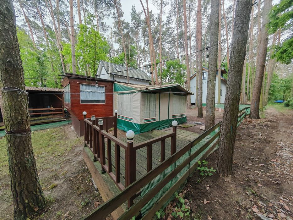 Działka z domkiem nad jeziorem, domek nad jeziorem, domek letniskowy