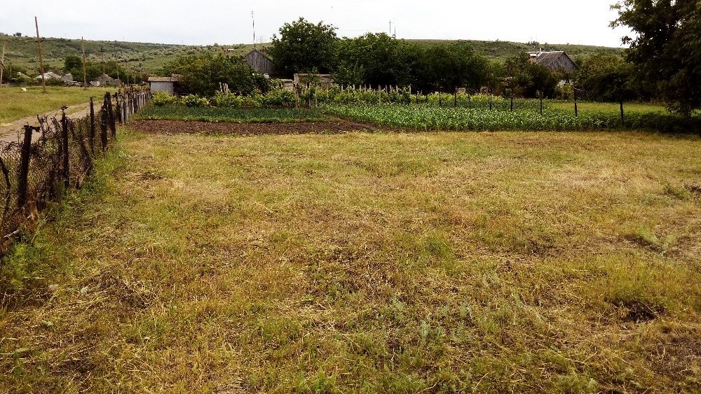 Продам дом в с.Палиево,