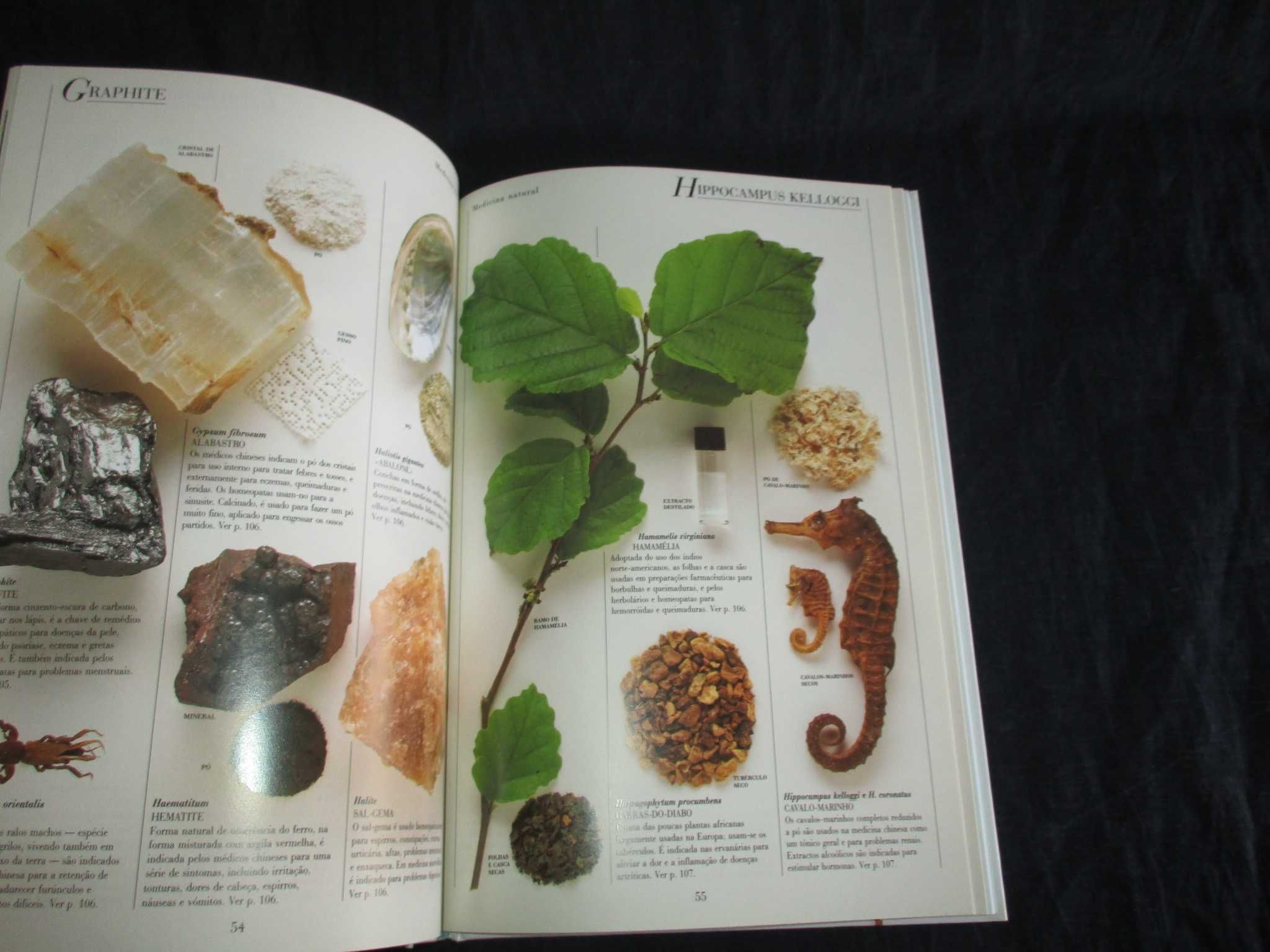 Livro A Farmácia Natural Guia de Medicamentos Naturais