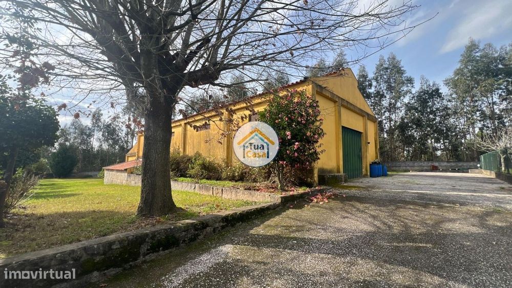 Quinta de 21.860m2 Murada com 3 Entradas, Potencial para Moradia ou Lo
