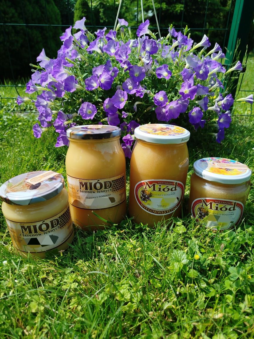 Miód z terenów leśnych wielokwiatowy z własnej pasieki 0,45l możliwość