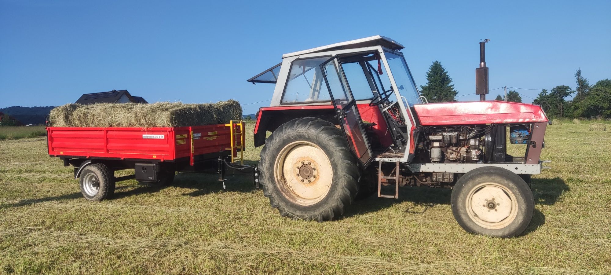 Siano kostka koniczyna czerwiec 2025 zbierane bez deszczu