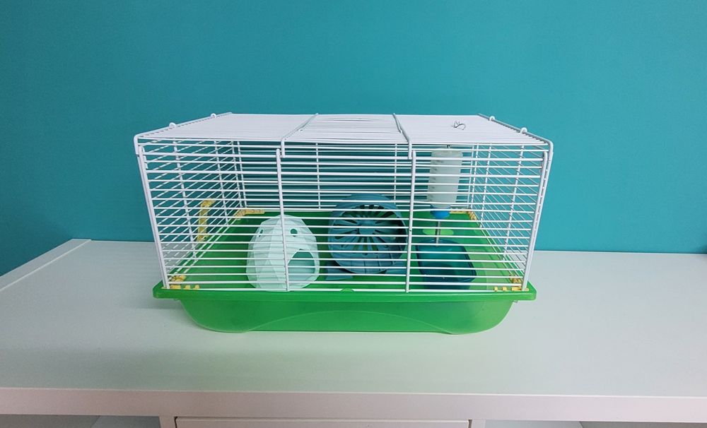 Casota para hamester