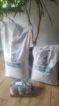 Natural trial Insect okolo  4 kg + 5 puszek mokrej karmy