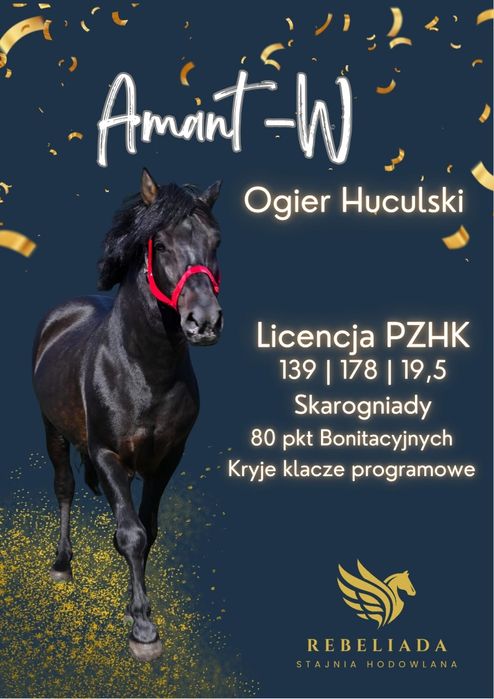 Stanówka Ogierem Huculskim Programowy