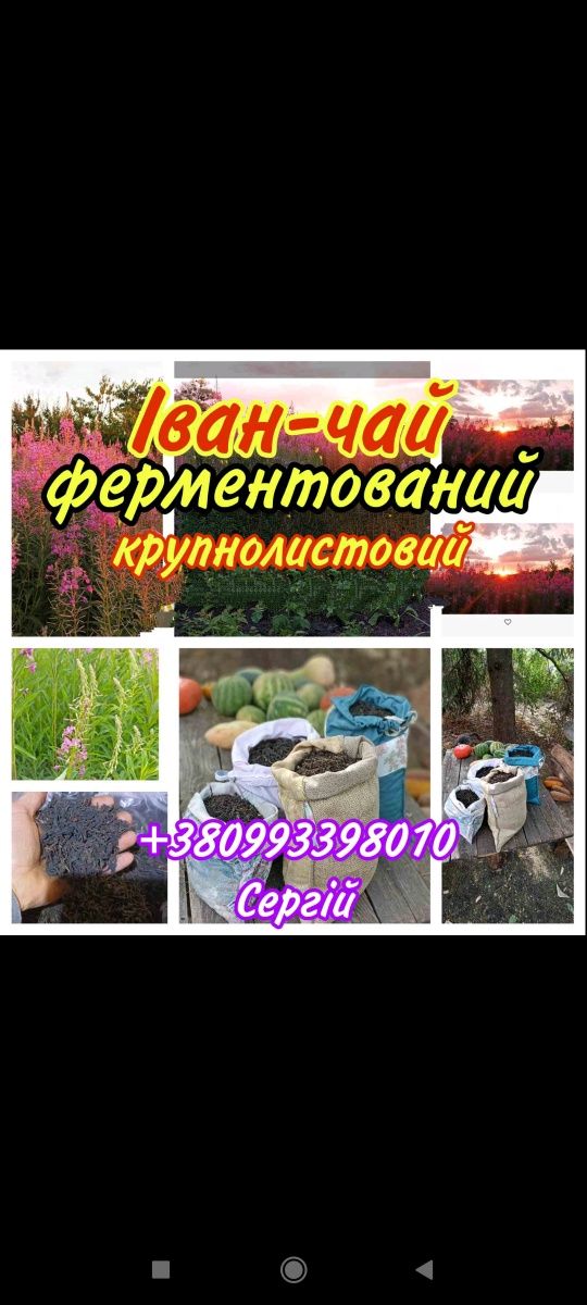 Іван чай ,копорський чай ,Иван - чай домашний ферментированный