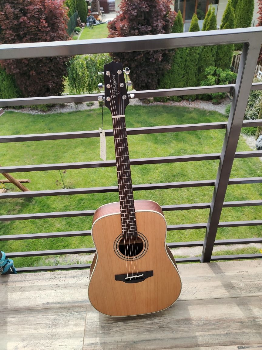 Gitara akustyczna Takamine GD 20 NS