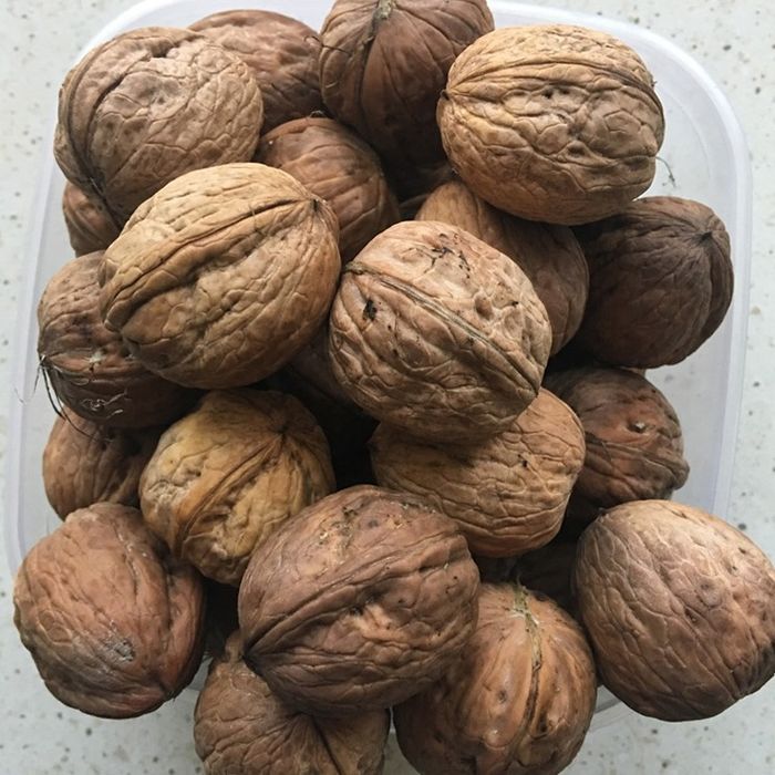 Sprzedam orzechy włoskie